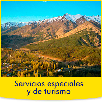 Servicios especiales y de turismo